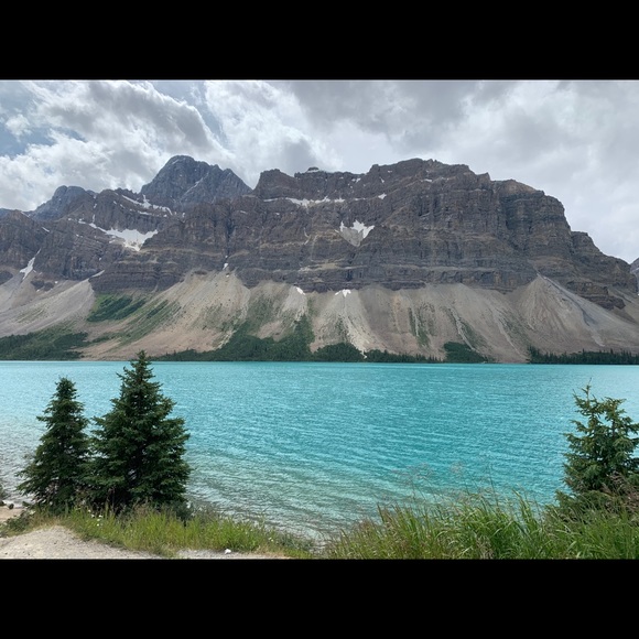 Meet your Posher, Yam - Picture 1 of 1